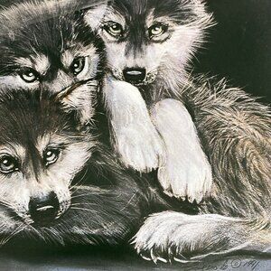 Carole Bourdo "Pile Of Pups" Vtg Signed In Plate Native American Wolf LG Print